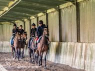 NH030523-7 - Nicky Henderson Stable Visit